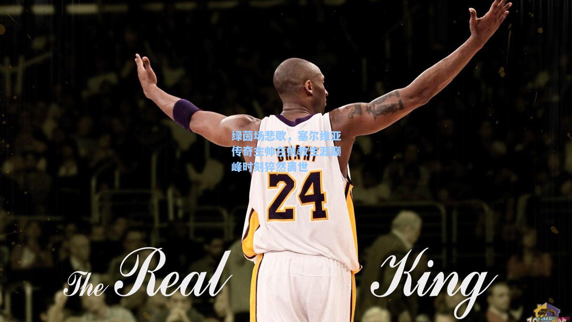 绿茵场悲歌，塞尔维亚传奇主帅在执教生涯巅峰时刻猝然离世